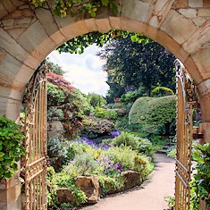 Jacquie Flecknoe Brown